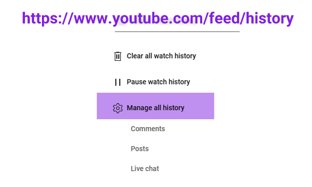 Manage all YouTube history menu