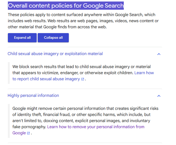 Google web search policies