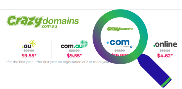 Crazy Domains logo TLD magnifying illustration