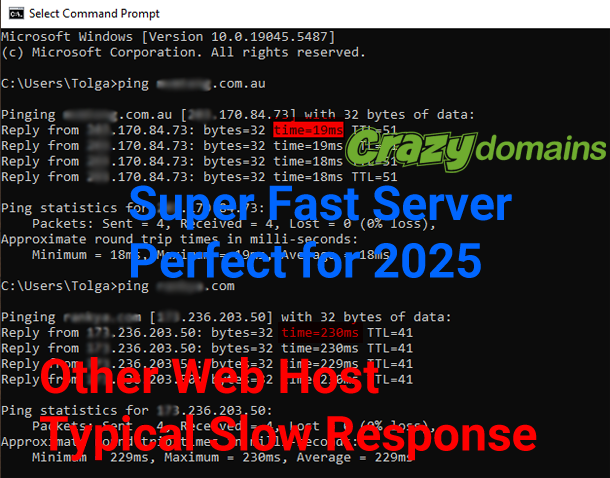 Crazy Domains Server Response Time